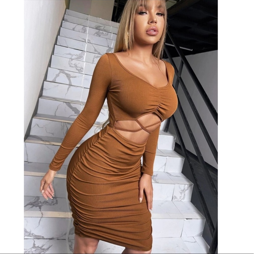 Rust Brown Bodycon Dress